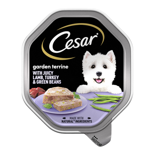 CESAR GARDEN TERRINE DOG FOOD TRAY LAMB, TURKEY & GREEN BEANS IN LOAF 150G