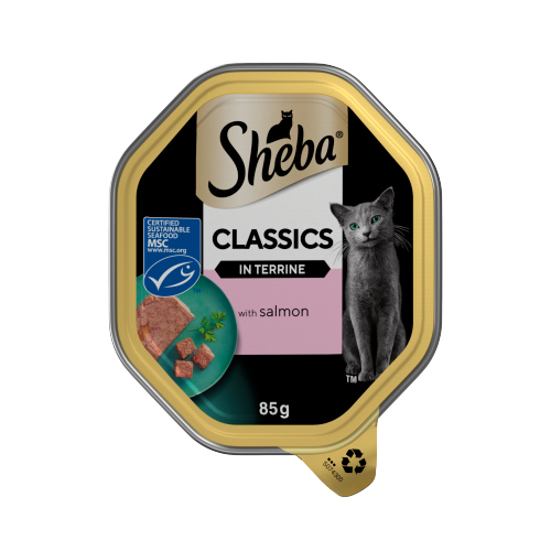 SHEBA CLASSICS WET CAT FOOD TRAY SALMON IN TERRINE 85G