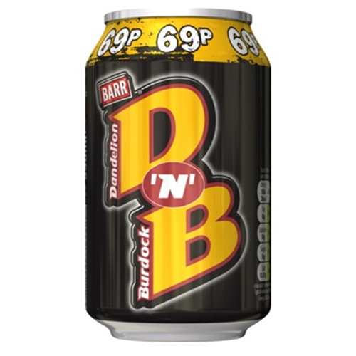 DANDELION & BURDOCK FIZZY PMP 69P 330ML