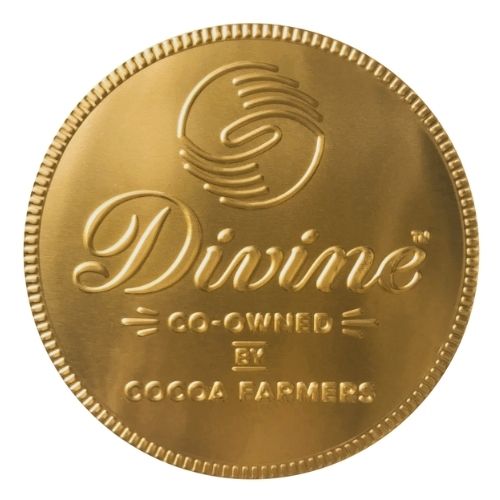 DIVINE MILK CHOCOLATE GIANT COIN 58G