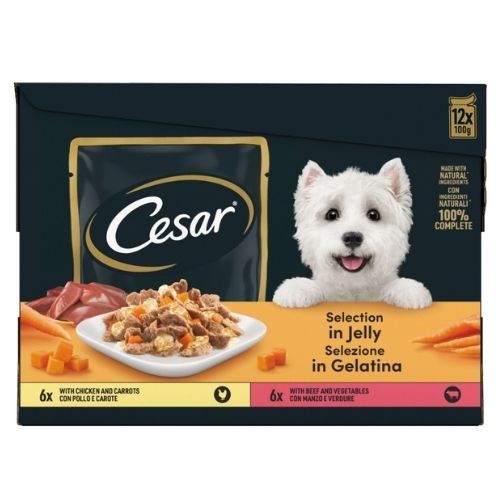 CESAR DELICIOUSLY FRESH DOG POUCHES FAVOURITES IN JELLY 12PK 100G