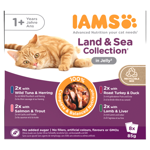 IAMS ADVANCED NUTRITION ADULT WET CAT FOOD MEAT & FISH VARIETY MIX IN JELLY 8PK 680G